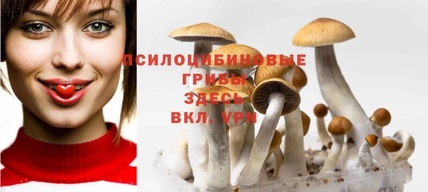 дмт Баксан