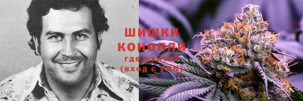 таблы Белокуриха