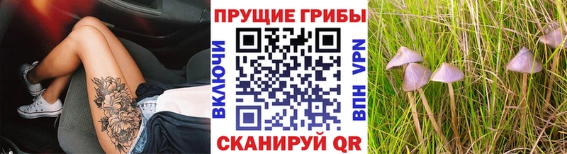 Псилоцибиновые грибы MAGIC MUSHROOMS Кропоткин